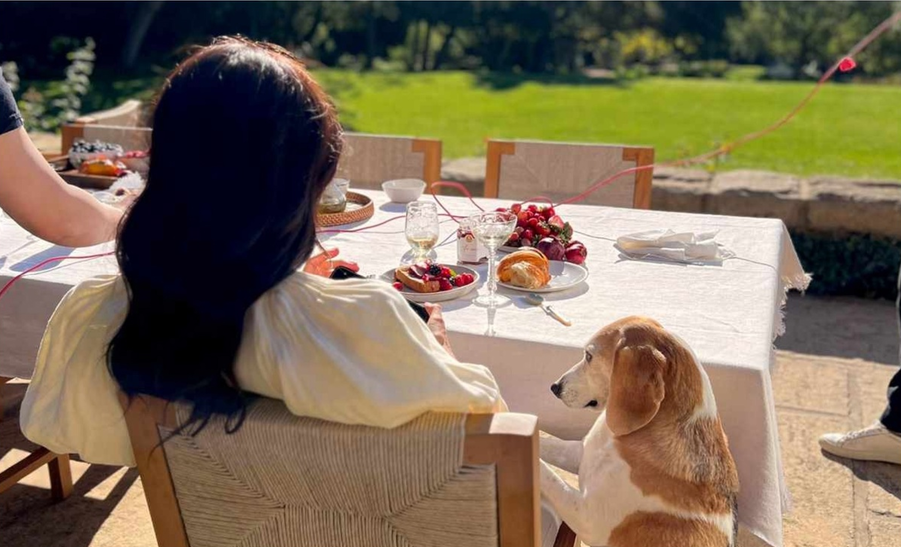 Старое фото из аккаунта Меган