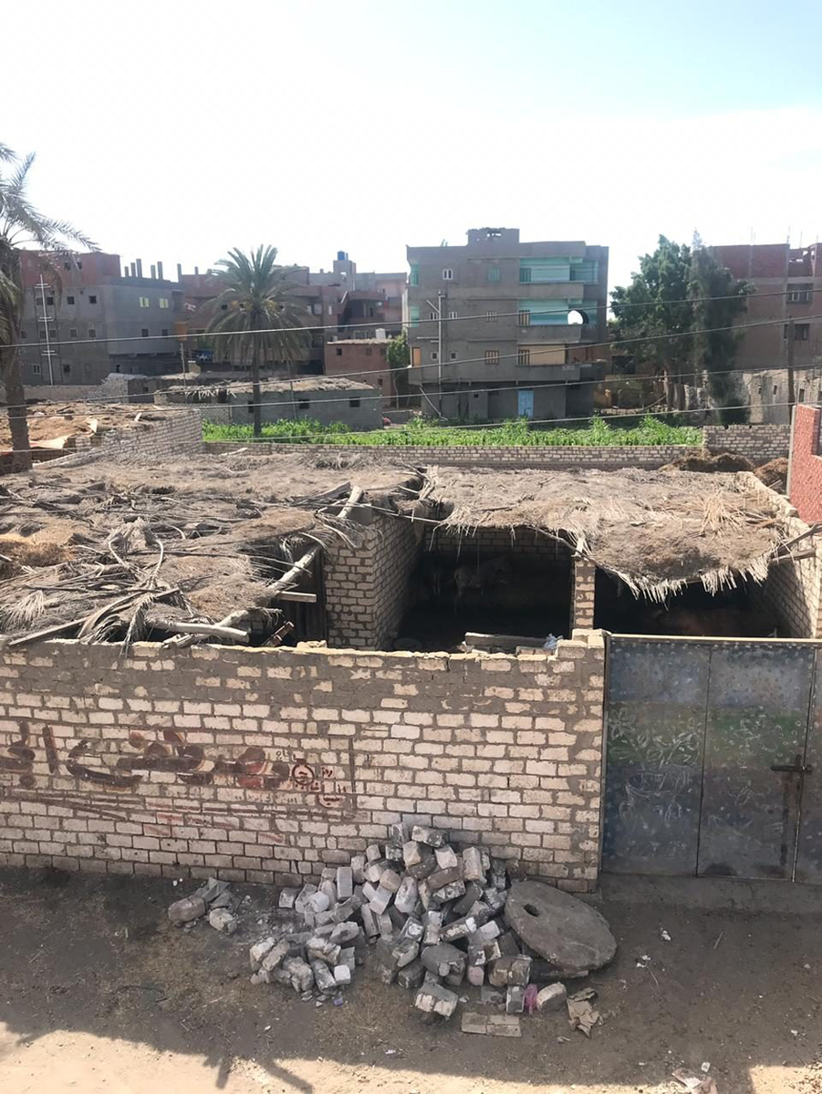 В таких условиях жила Полина Кушнарева. Фото: Полина Кушнарева