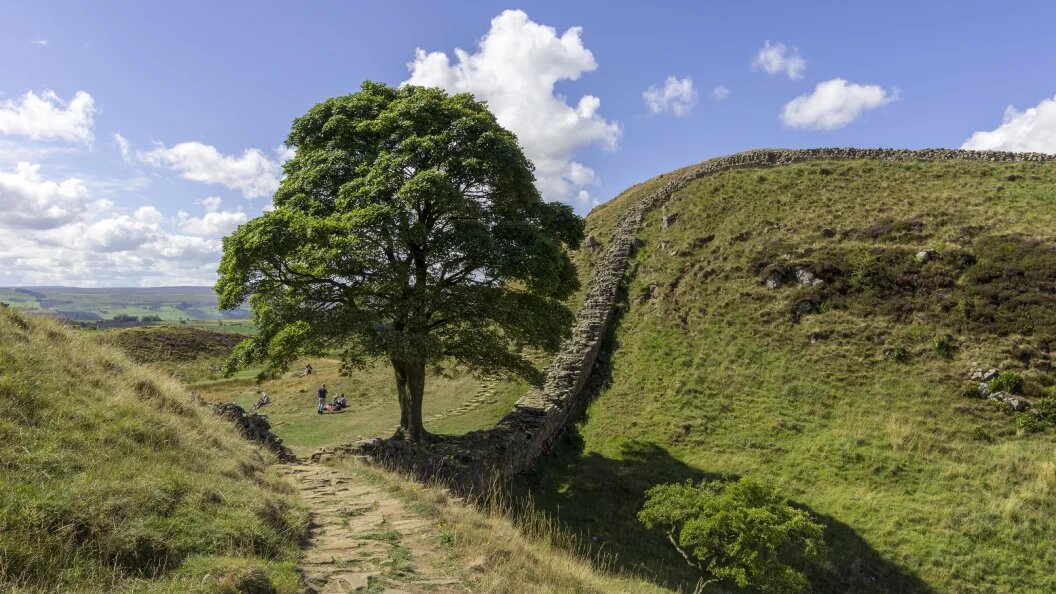    Фото: Christian Handl/Globallookpress