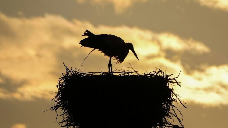     Фото: Adrien Stachowiak on Unsplash