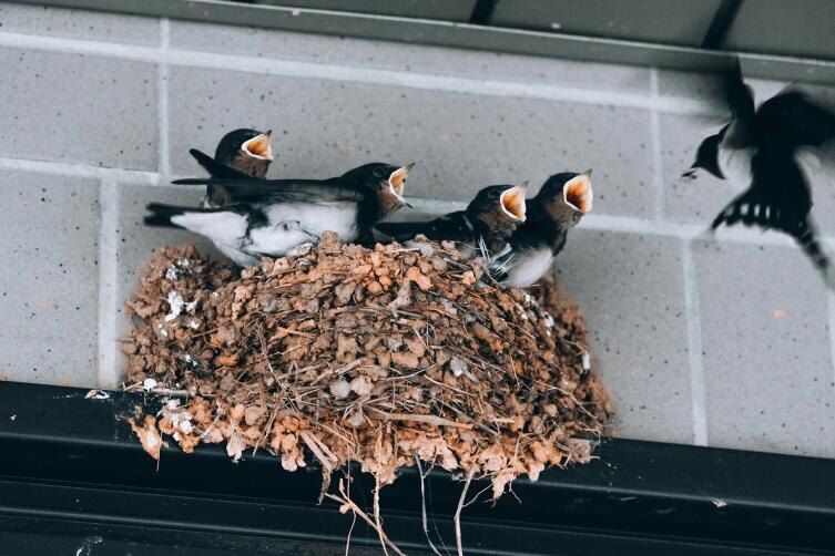    Фото: Dong on Unsplash