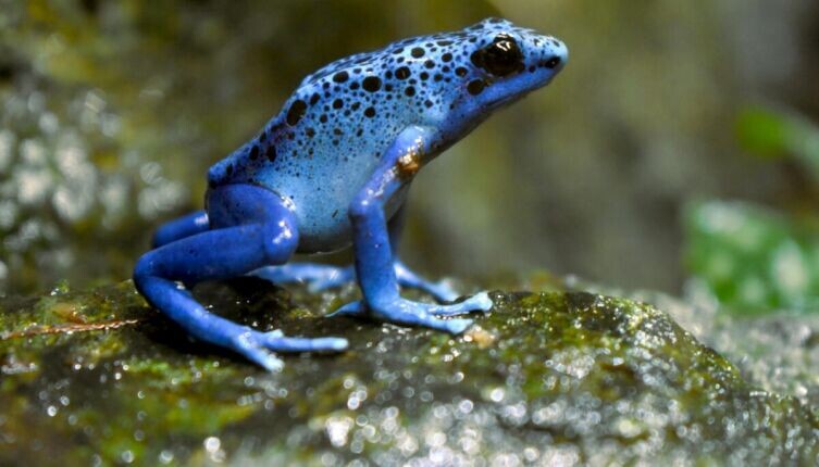     Фото: Wallace Heng on Unsplash