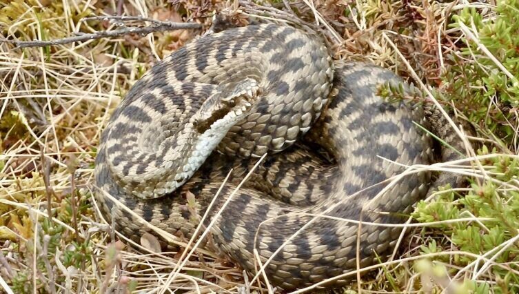     Фото: Kato Bergli on Unsplash