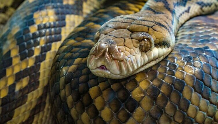     Фото: David Clode on Unsplash