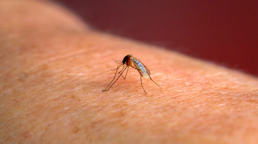    Фото: www.globallookpress.com/IMAGO/Bernd Feil/M.i.S.