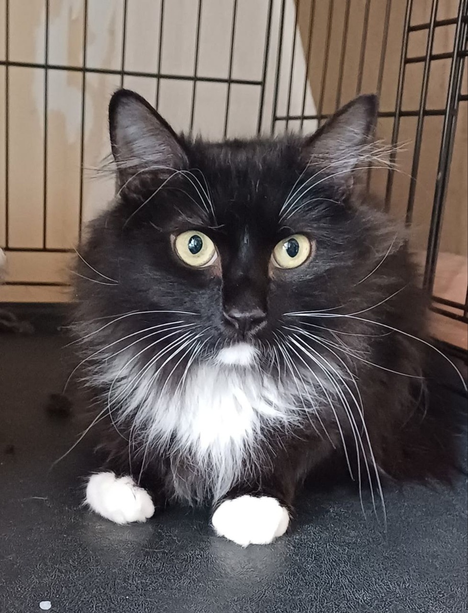 Что в его глазах?