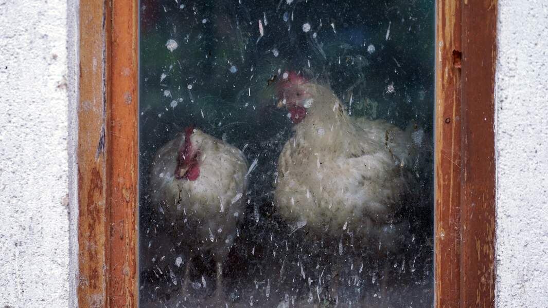    Фото: ИЗВЕСТИЯ/Эдуард Корниенко
