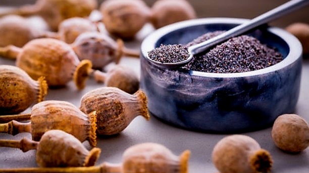 Маков день (фото: Андрей Л)