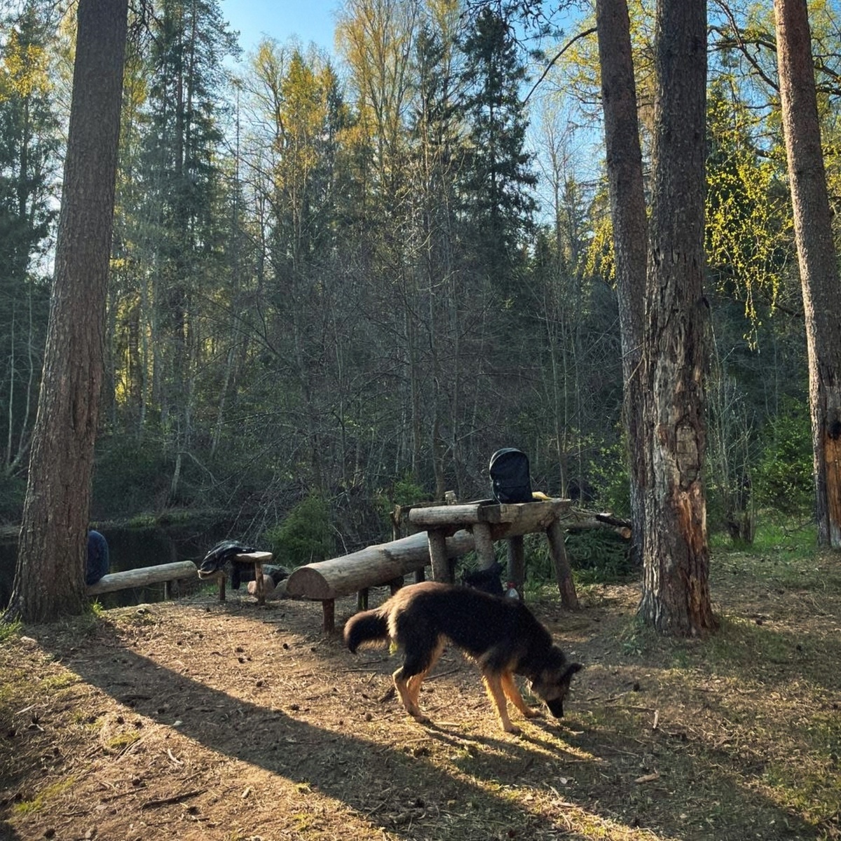 Таких стоянок много, эта самая живописная по моему мнению, личный фотоархив