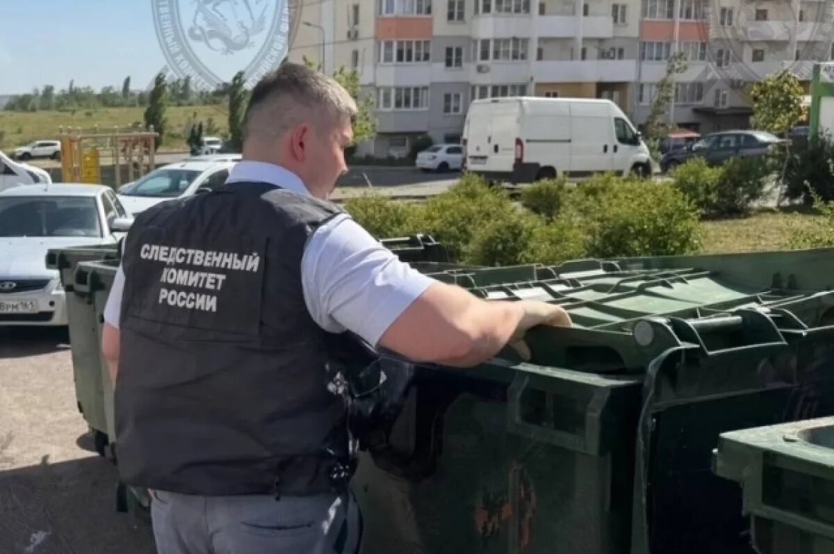    Мусорные контейнеры в Ростове-на-Дону, где обнаружили замороженного младенца.