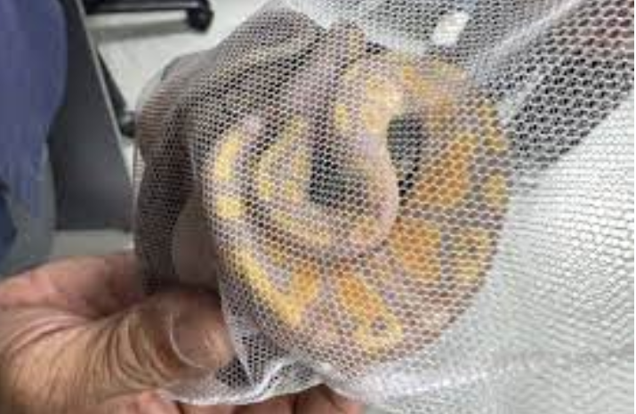 А в ваших штанах такой мешок поместится?