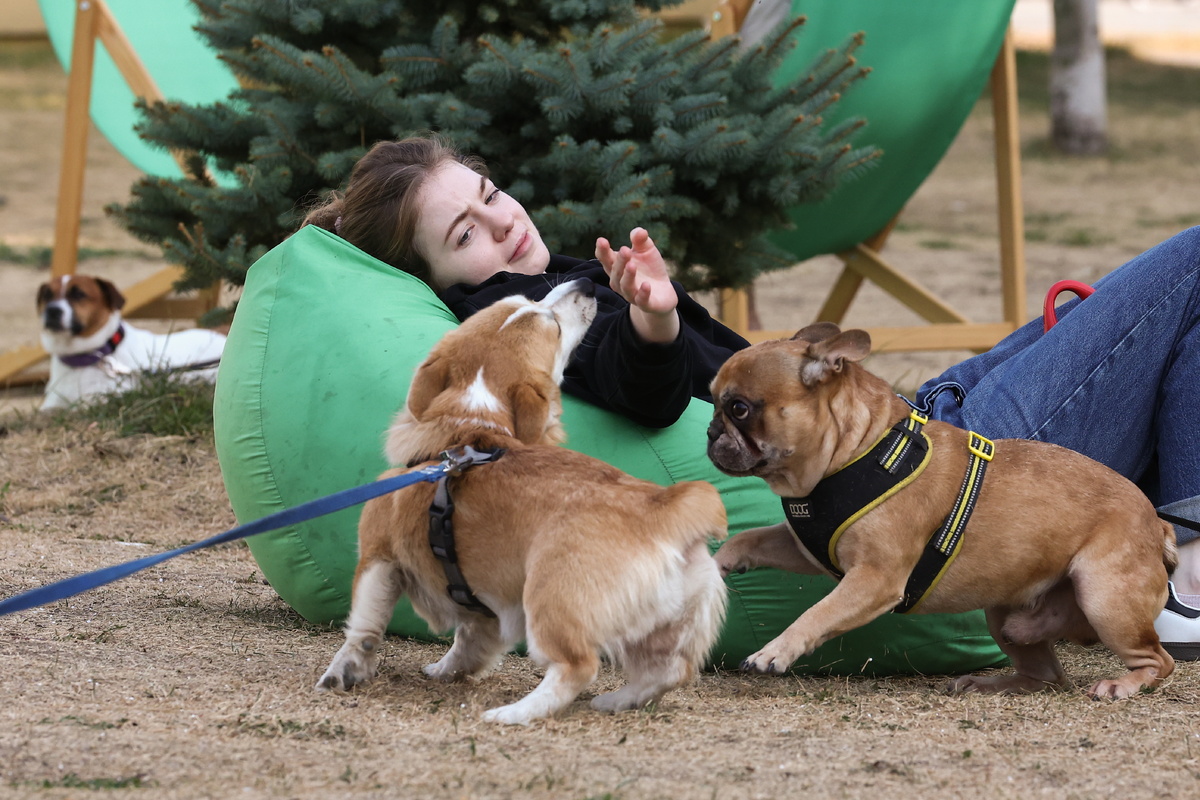 Сергей Булкин/ТАСС