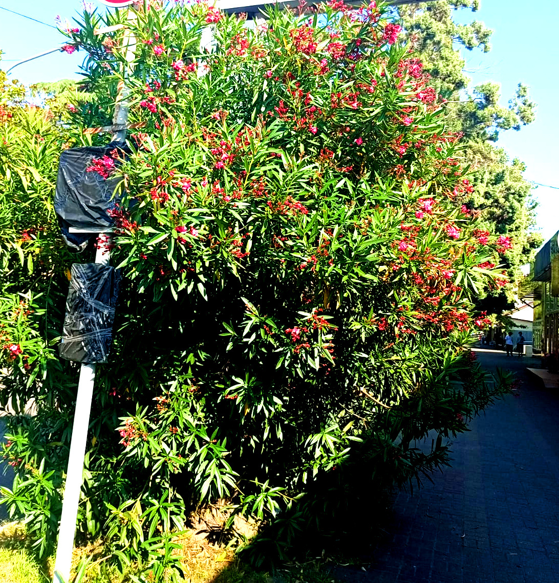 Фото из архива автора