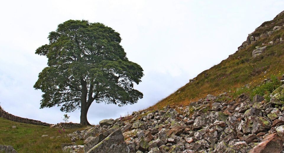    Cover Images/Keystone Press Agency / www.globallookpress.com