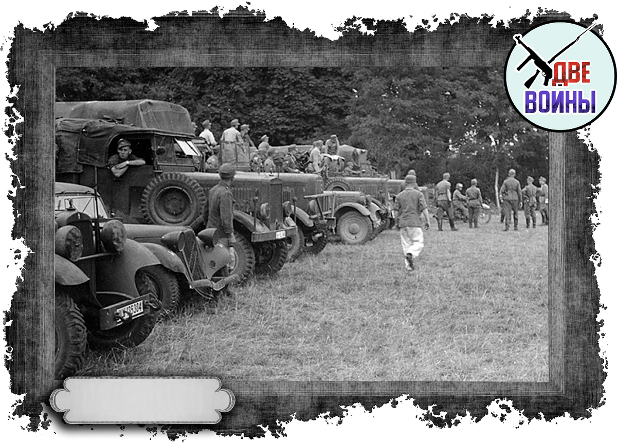 Разнообразие поражает. Фото в открытом доступе.