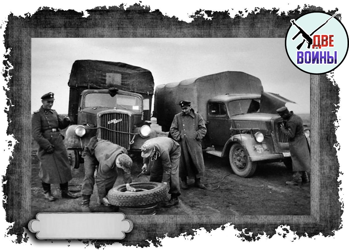 Фото в открытом доступе.