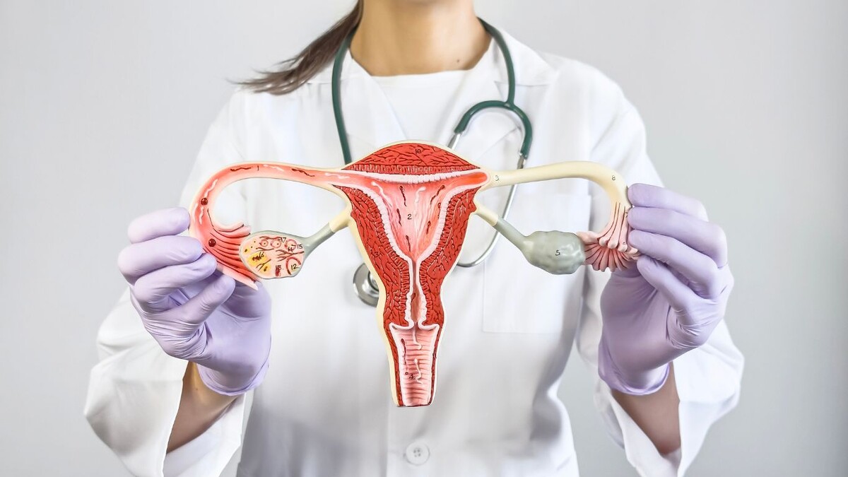 15 июля — День гинеколога: о здоровье женщины без стыда и страха 