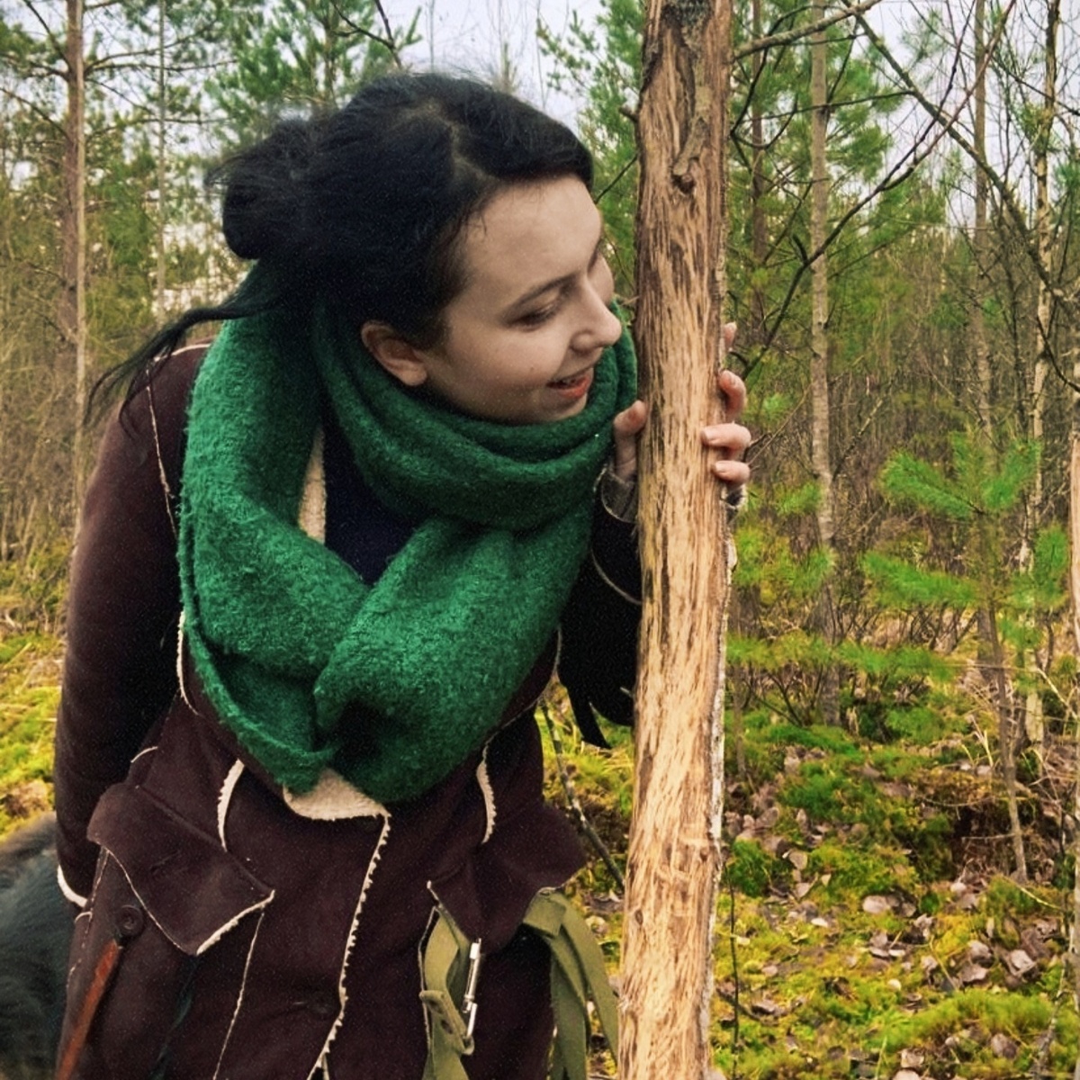 Вот так осиной полакомился лось, личный фотоархив