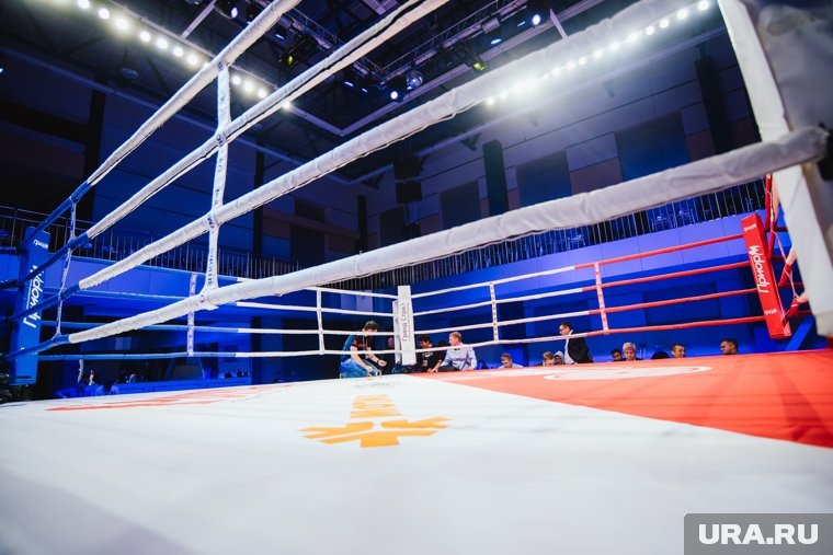    Тимур Хизриев является бойцом ММА