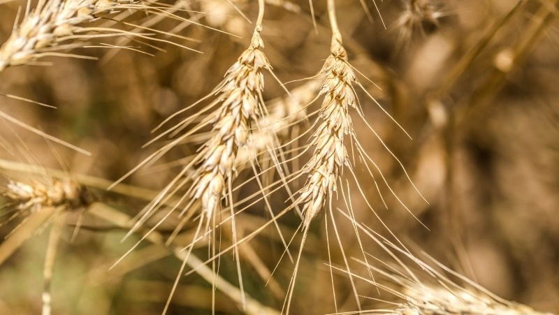      Фото: @pvproductions / freepik.com