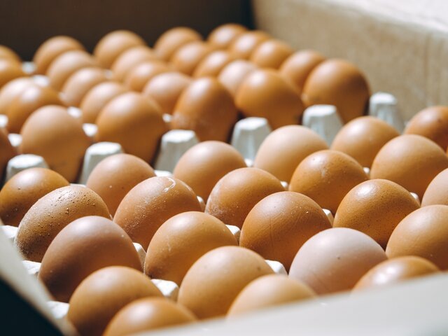    Фото: 123RF/agnormark