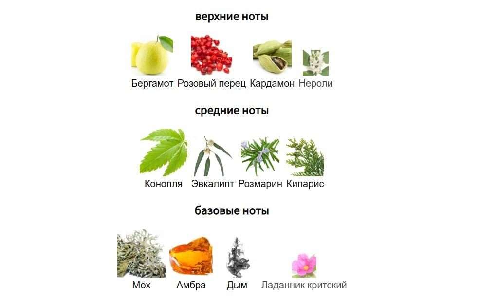 fragrantica.ru