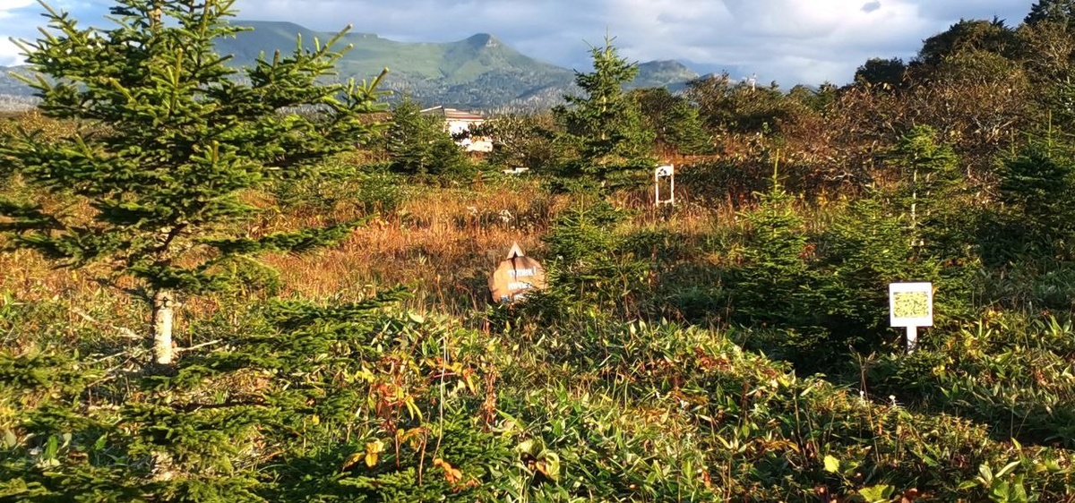 Экотропа "Болотный сад" осенью