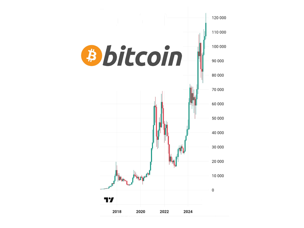Bitcoin price chart 