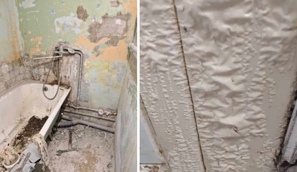 Фото: из открытых источников