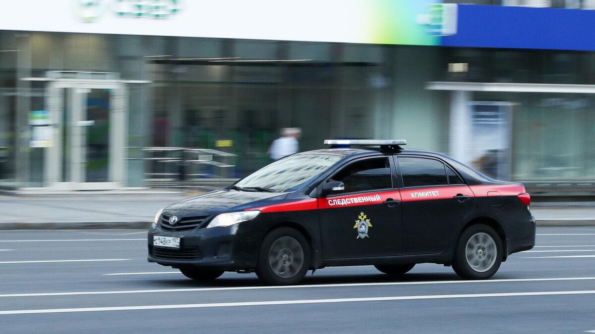    Фото: Bocharov Denis/news.ru/globallookpress.com