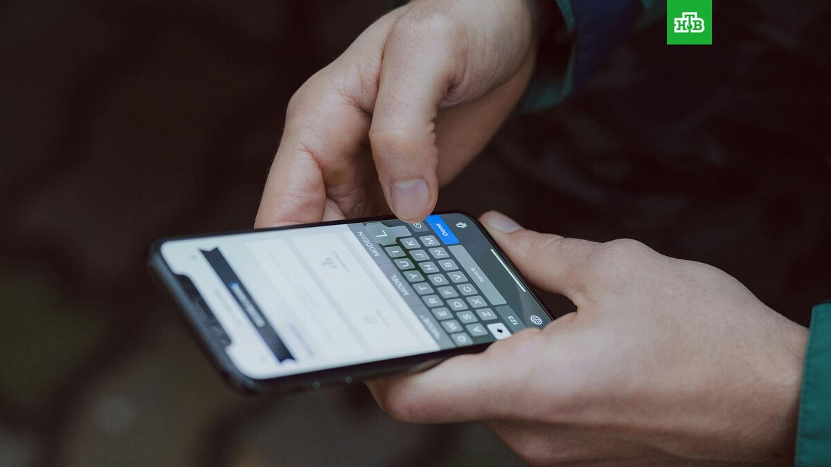    Фото: freestocks / unsplash.com