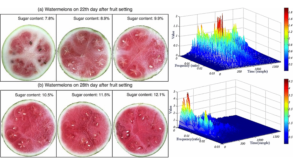 Изображение было взято из журнала Personal and Ubiquitous Computing