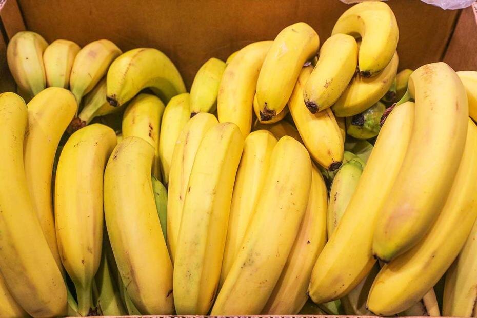    Сергей Булкин/NEWS.ru