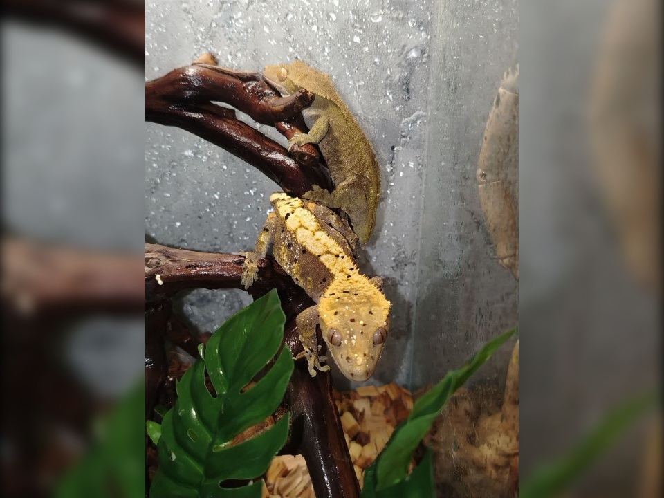     Фото: личный архив Юлианы Рыжковой