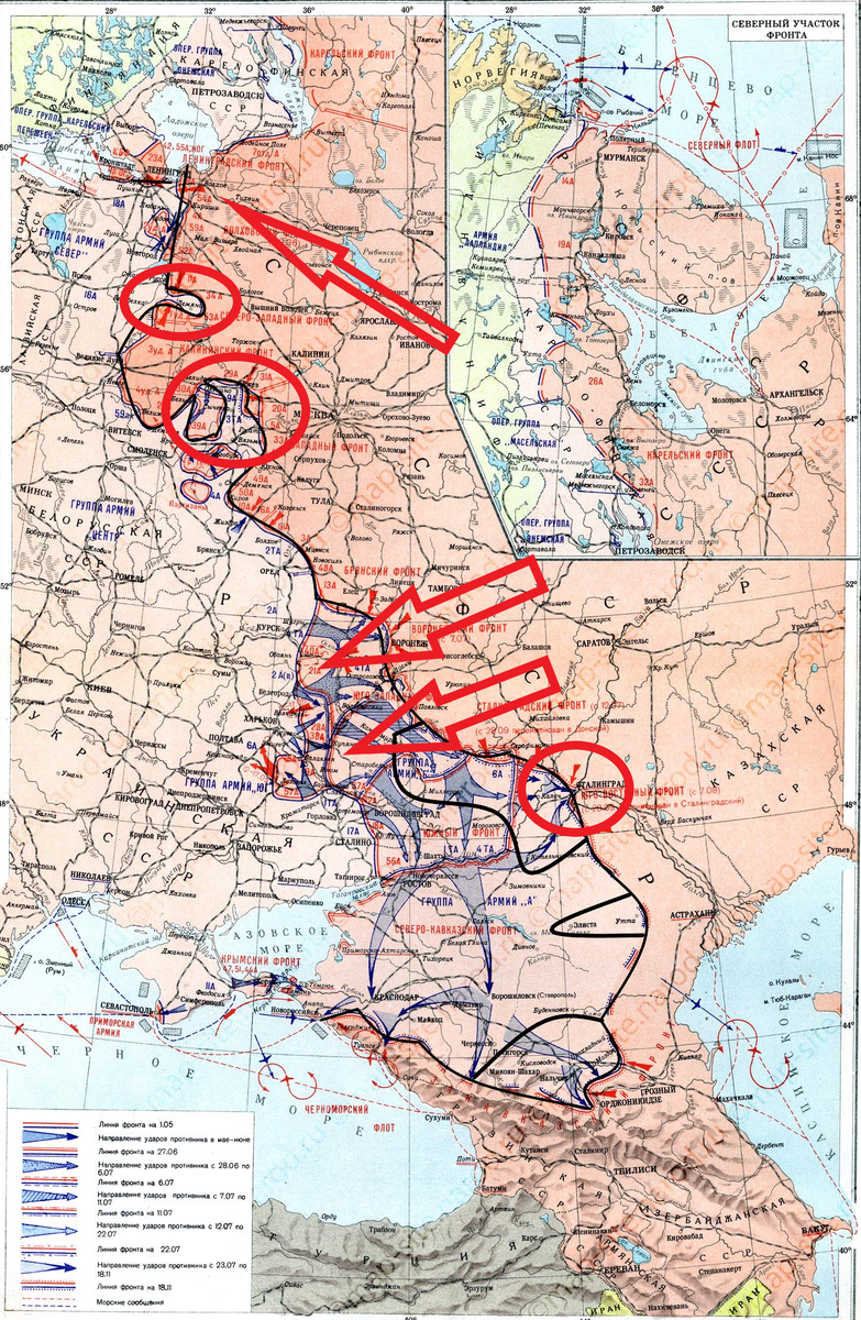 (Фото взято из открытых источников).