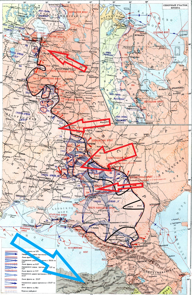(Фото взято из открытых источников).