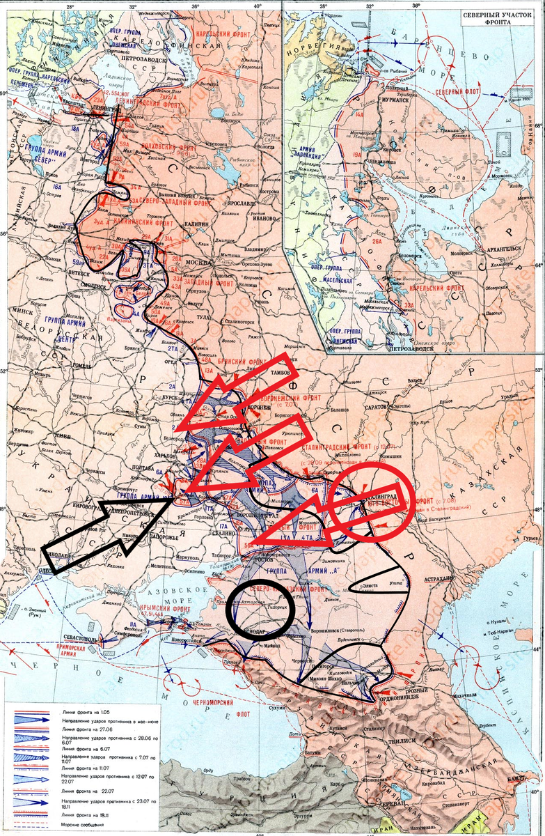 (Фото взято из открытых источников).