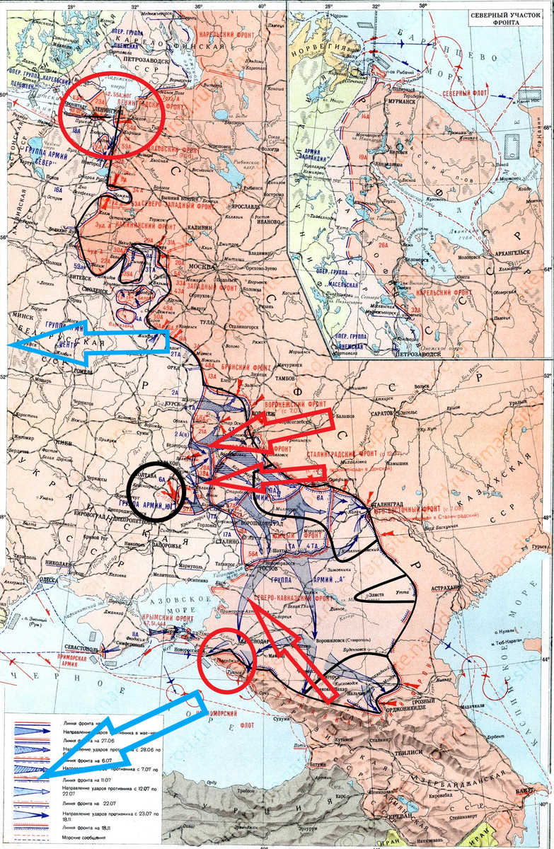 (Фото взято из открытых источников).