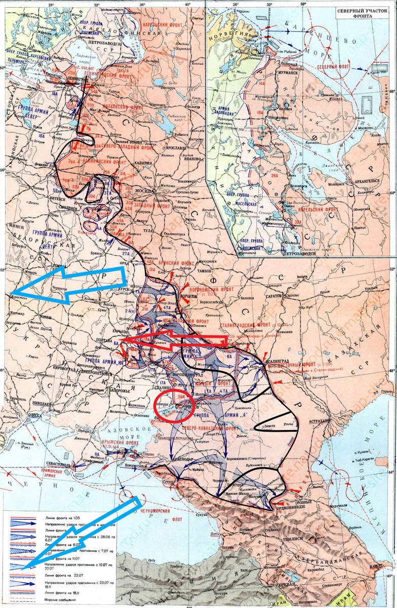(Фото взято из открытых источников).