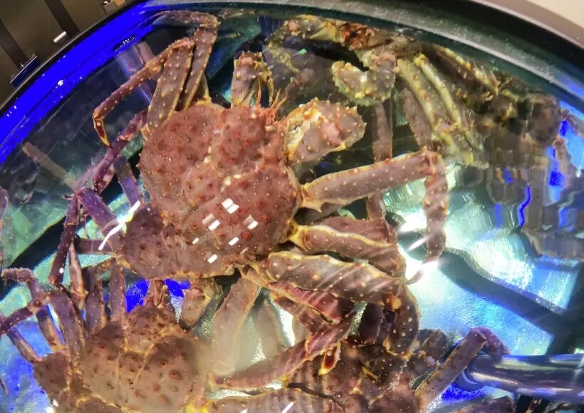     © РИА Новости. Павел Львов