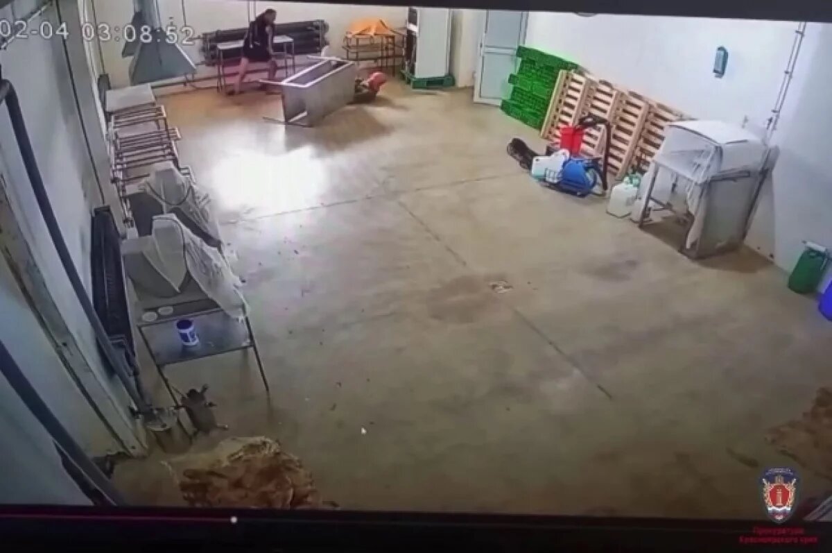    За нападение с ножом на инженера жителя Хакасии отправили в психбольницу