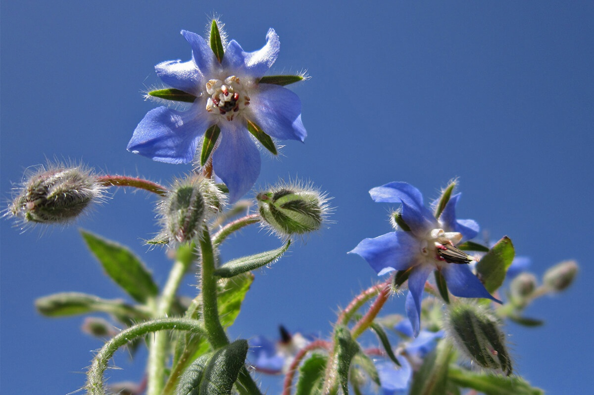 Портрет на фоне неба