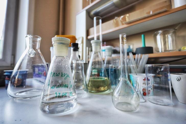    Фото Андрея Заржецкого