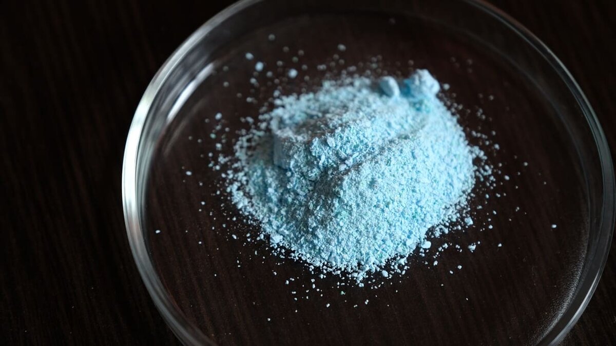    Фото: Анастасия Тамаровская / ФИЦ КНЦ СО РАН