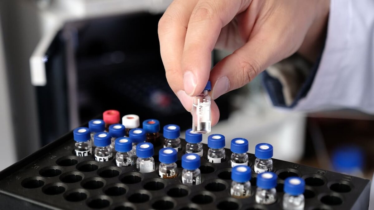    Фото: Анастасия Тамаровская / ФИЦ КНЦ СО РАН