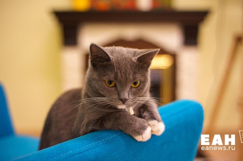    ЕАН. Архивное фото