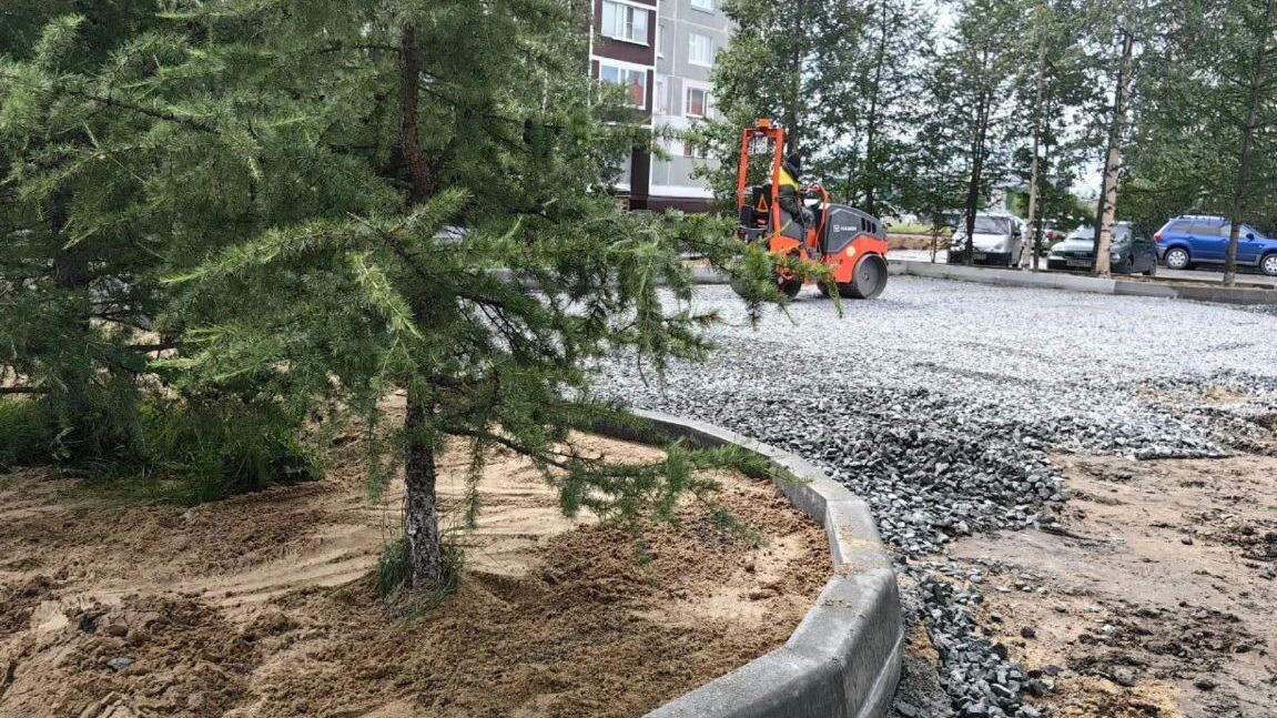    Фото: t.me/treskova_ma/9760?single