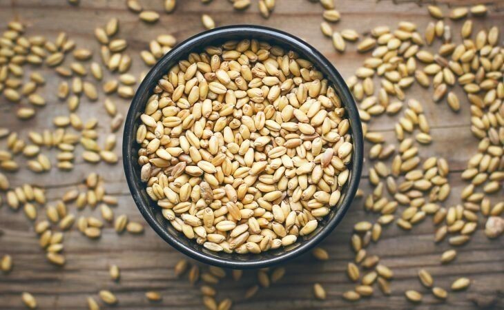 Фото:. freepik.com