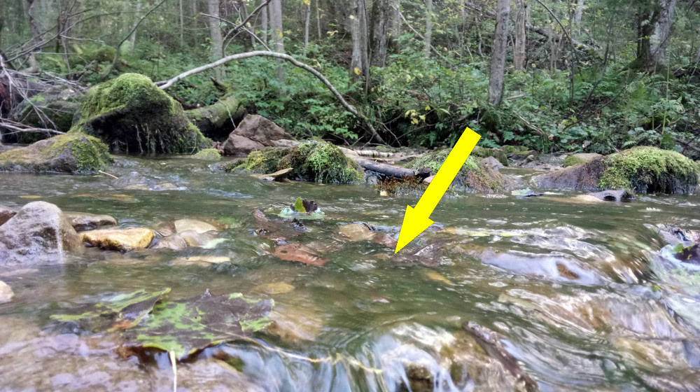    Тайна исчезающих рек куда пропадают целые водоемы