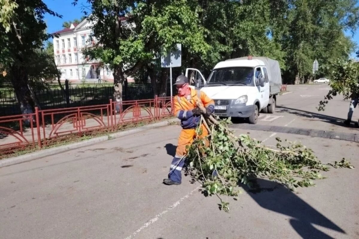    Последствия сильного ветра устраняются в Иркутске